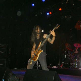 orphaned land