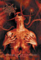 Shaman