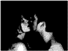 NoCTuRNaL_DeeDs