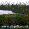 TheDoguhan