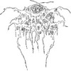 motherannorthe