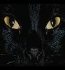 Nightwish_999