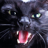 GORGOROTH666
