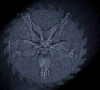 DarkCurseD