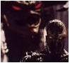 spawn313