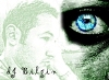 Bilgin