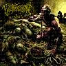 fleshtized