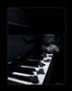 bloodream