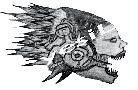 cosaxar