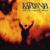 blackenthesilence