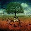 feronia