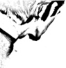 screwshell